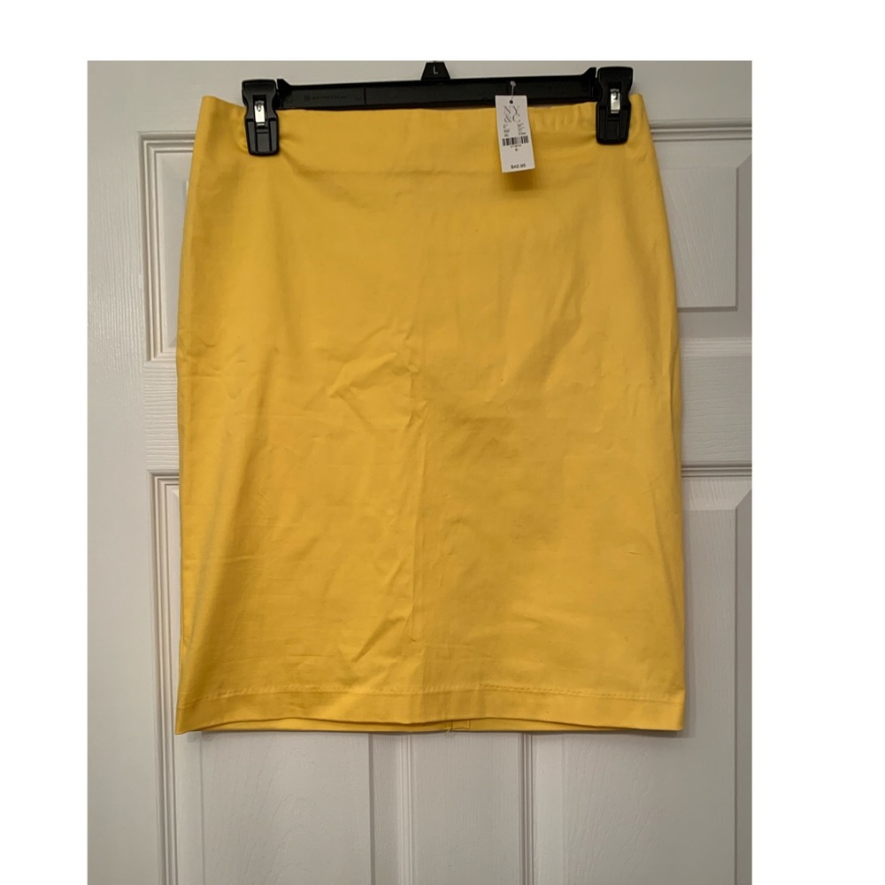 NWT pencil skirt
